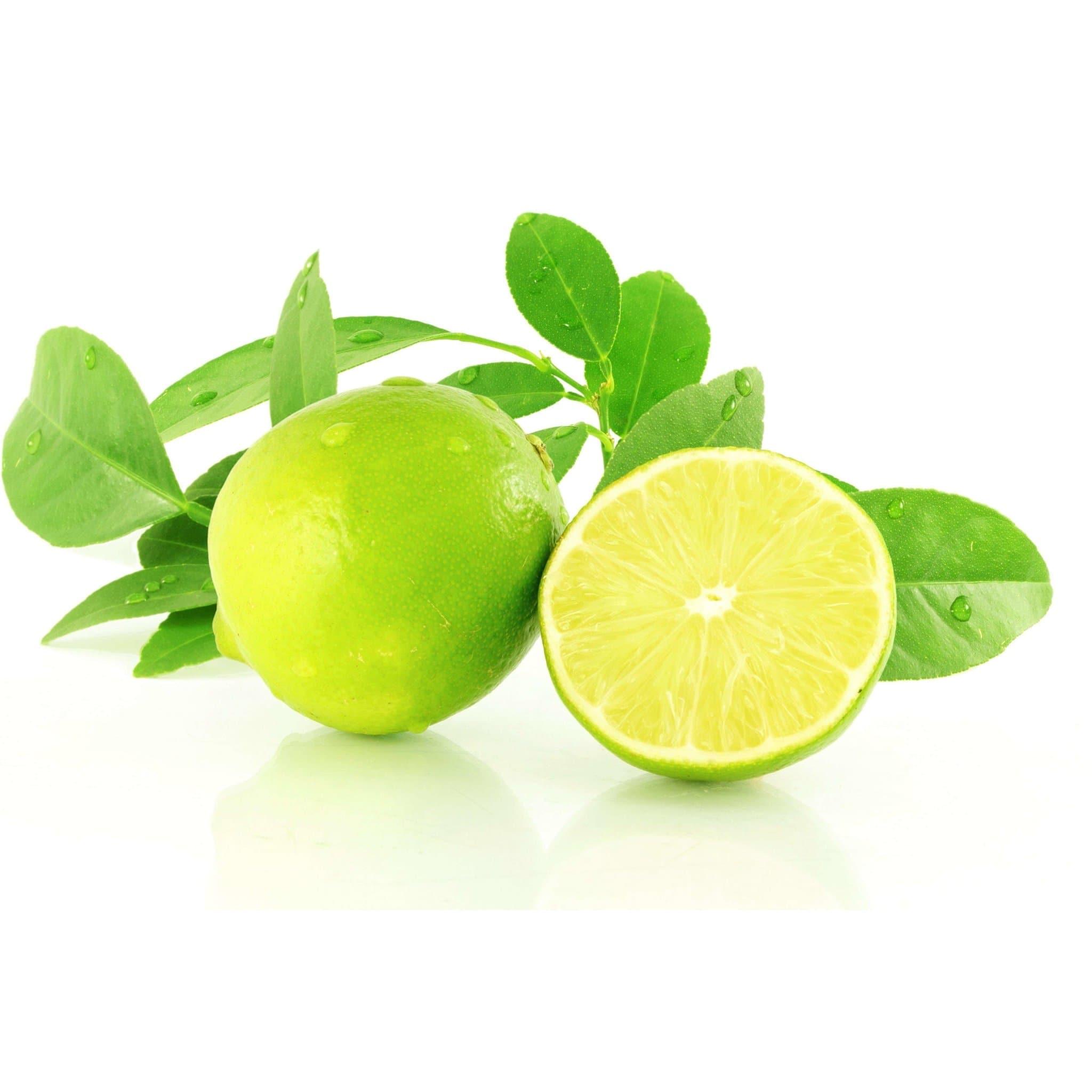 Déodorant Tea Tree et Citron - CureNat
